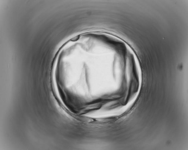 X0000091531534200709141425