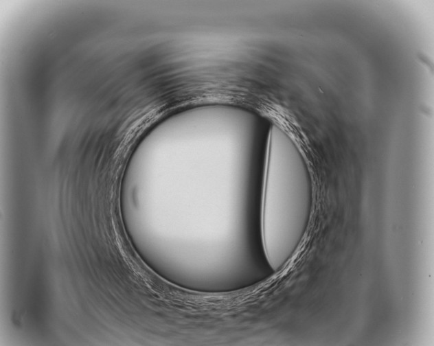 X0000091540001200708171019