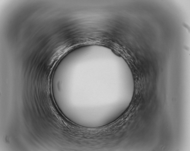 X0000091540002200708171019