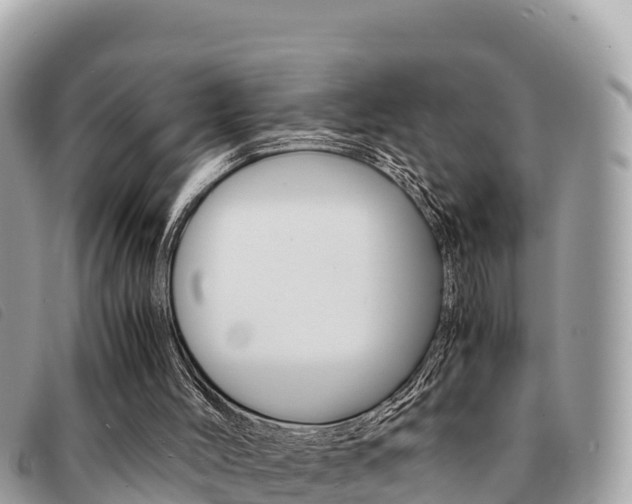 X0000091540004200708171019
