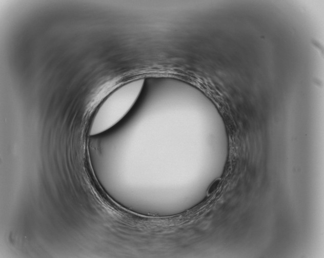 X0000091540005200708171019