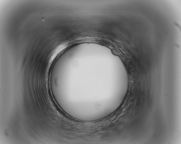 X0000091540006200708171019