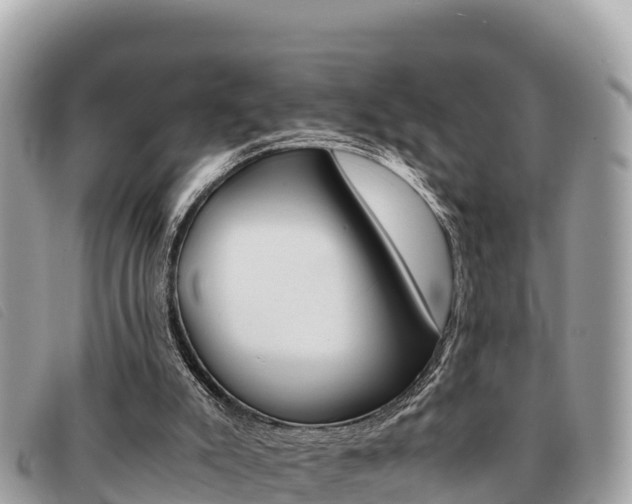 X0000091540007200708171019