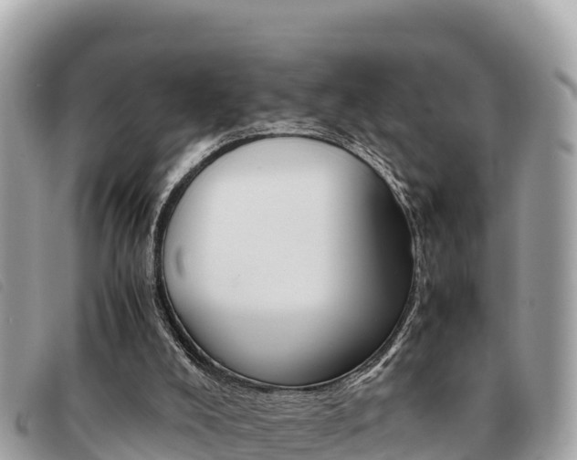 X0000091540008200708171019