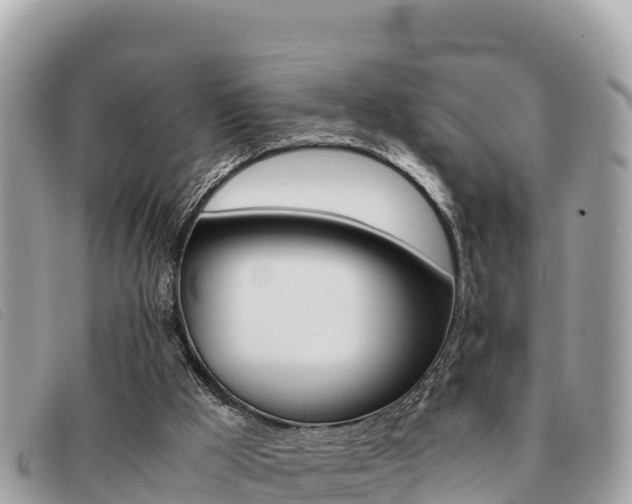 X0000091540009200708171019