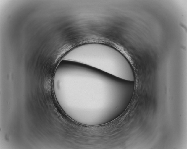 X0000091540010200708171019