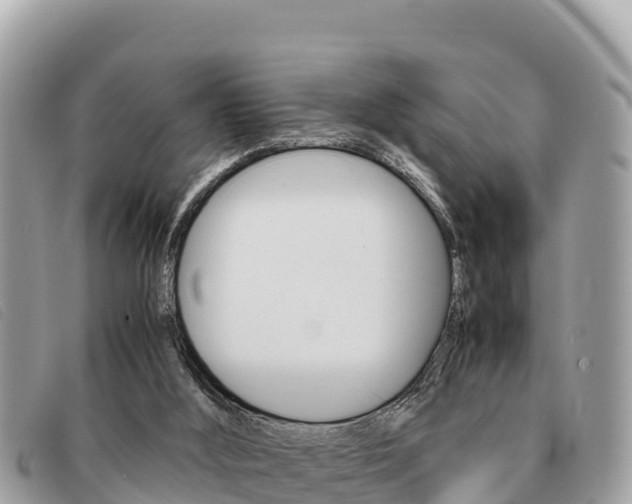 X0000091540012200708171019