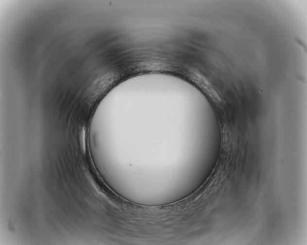 X0000091540014200708171019