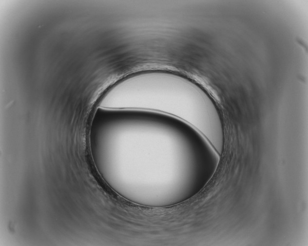 X0000091540015200708171019