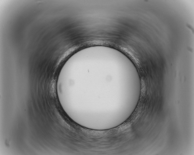X0000091540016200708171019