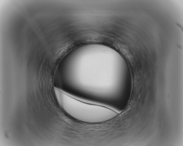 X0000091540017200708171019
