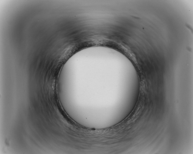X0000091540018200708171019