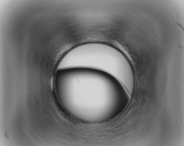 X0000091540019200708171019