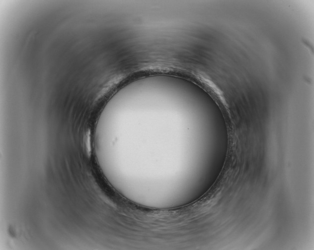 X0000091540020200708171019