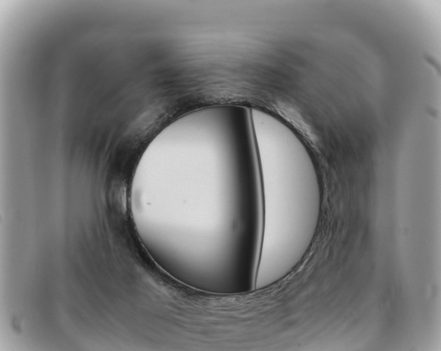 X0000091540021200708171019