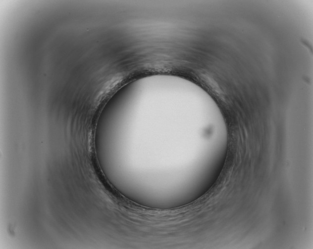 X0000091540023200708171019
