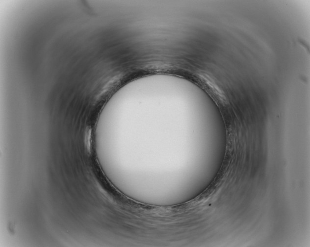 X0000091540024200708171019