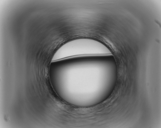 X0000091540025200708171019