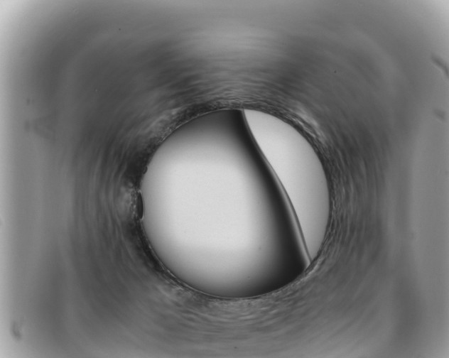 X0000091540029200708171019