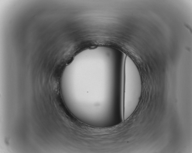 X0000091540031200708171019