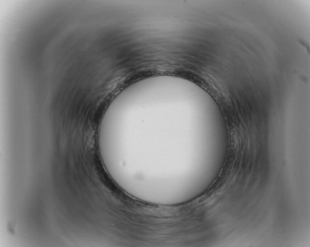 X0000091540032200708171019