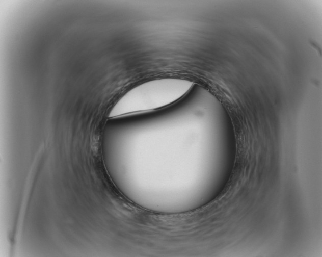 X0000091540033200708171019