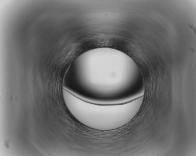 X0000091540035200708171019