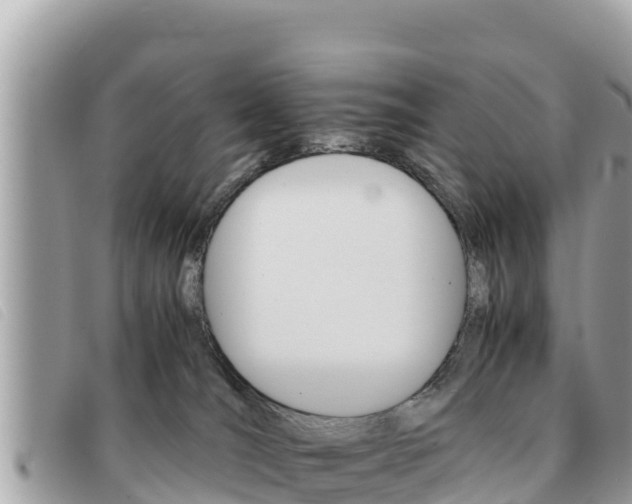 X0000091540036200708171019