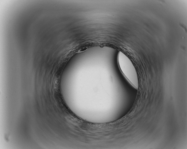 X0000091540037200708171019