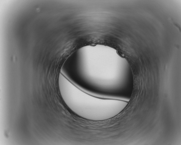 X0000091540039200708171019