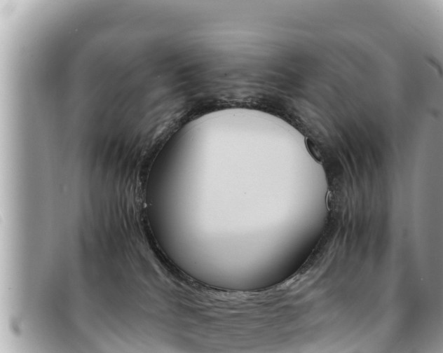 X0000091540040200708171019