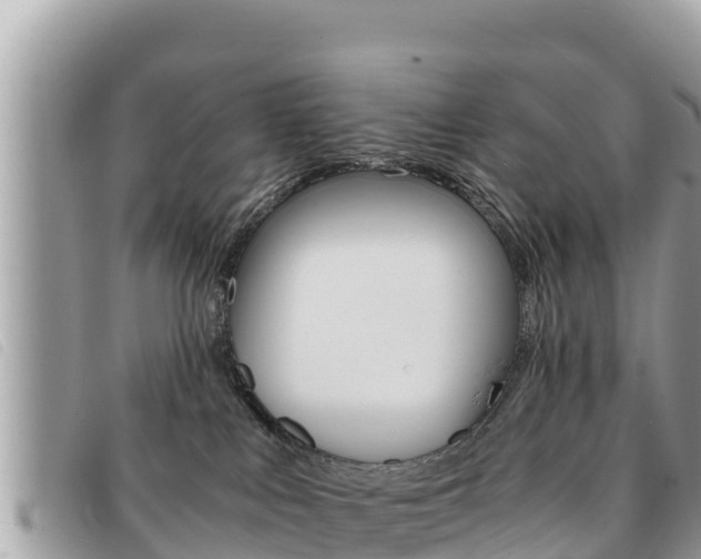 X0000091540043200708171019