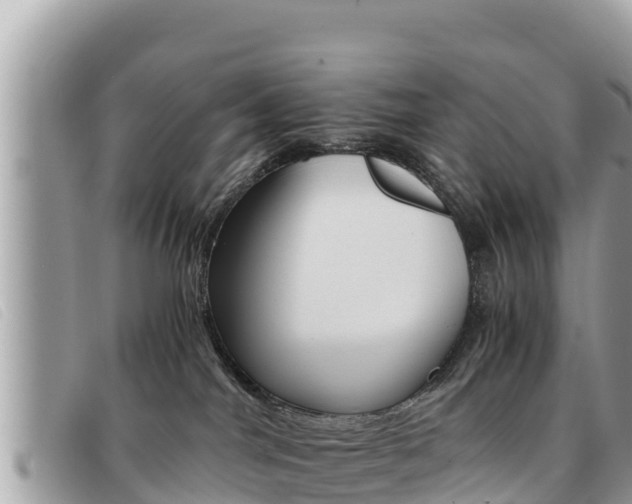 X0000091540044200708171019