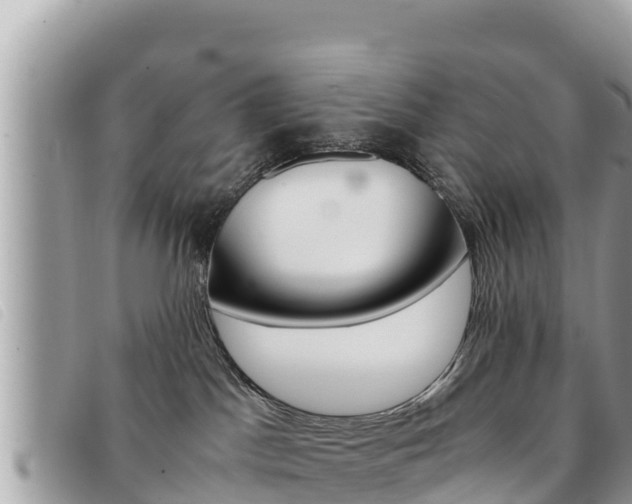 X0000091540045200708171019