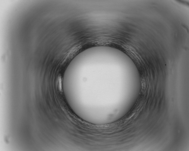 X0000091540046200708171019
