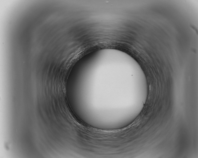 X0000091540048200708171019