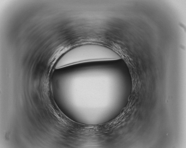 X0000091540050200708171018