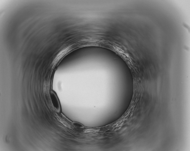 X0000091540051200708171018