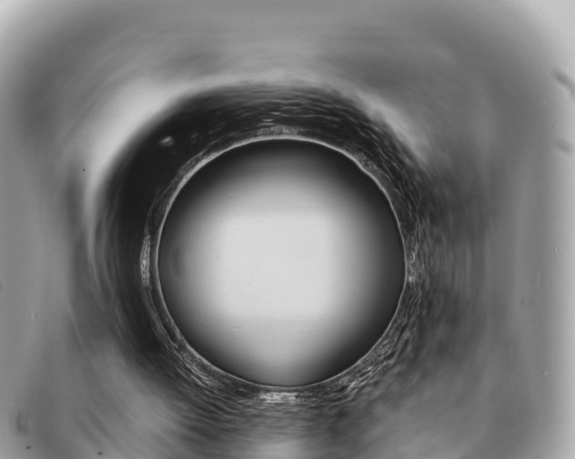 X0000091540052200708171018