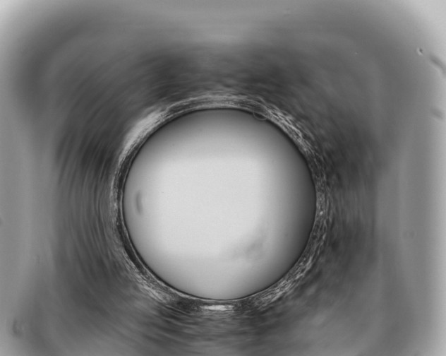 X0000091540053200708171018