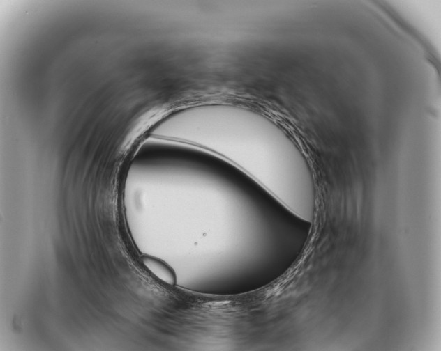 X0000091540054200708171018