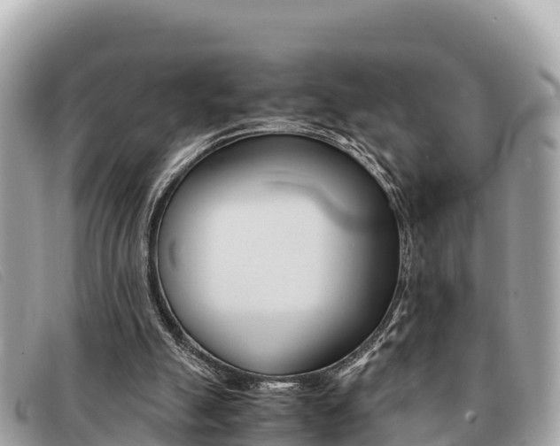 X0000091540055200708171018