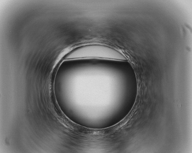 X0000091540056200708171018