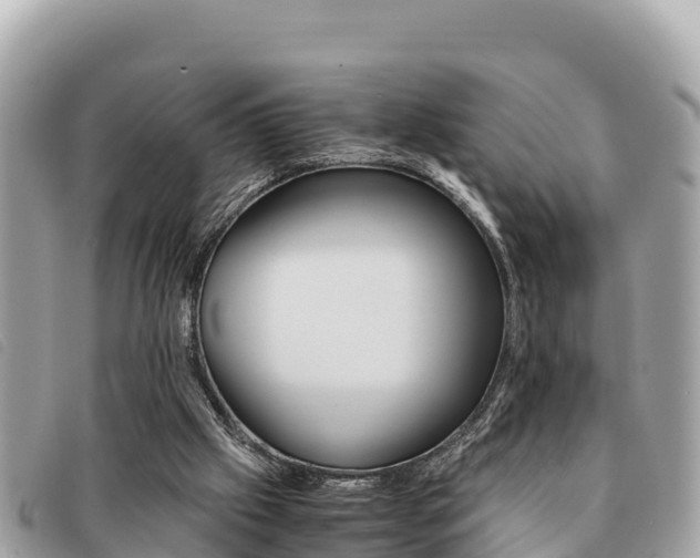 X0000091540057200708171018