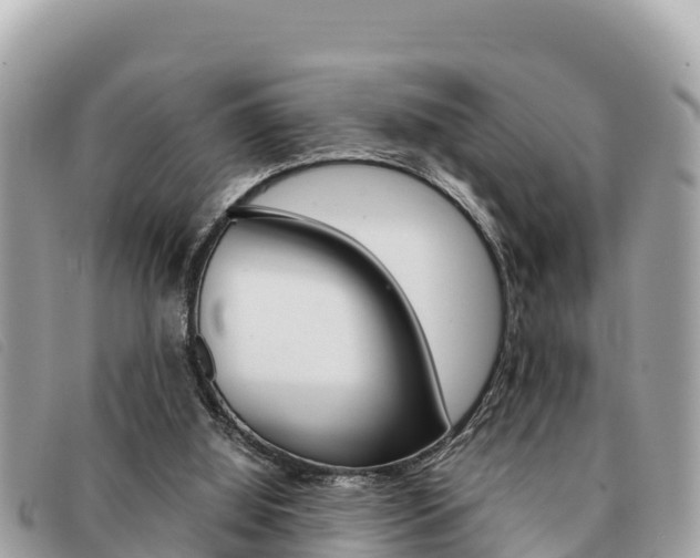 X0000091540060200708171018