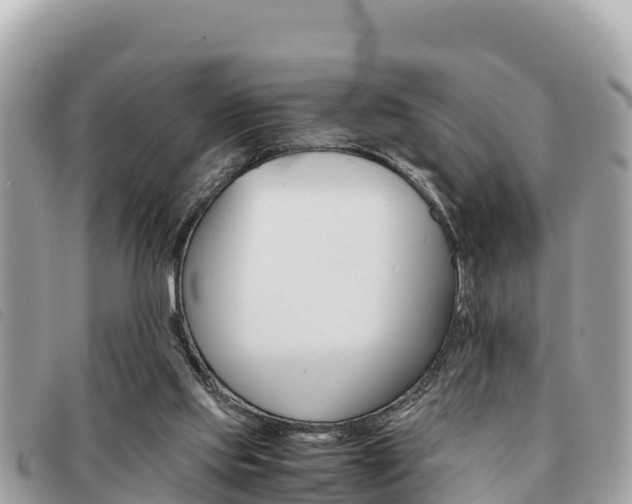 X0000091540061200708171018