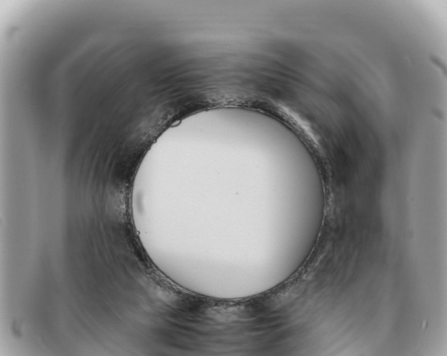 X0000091540065200708171018