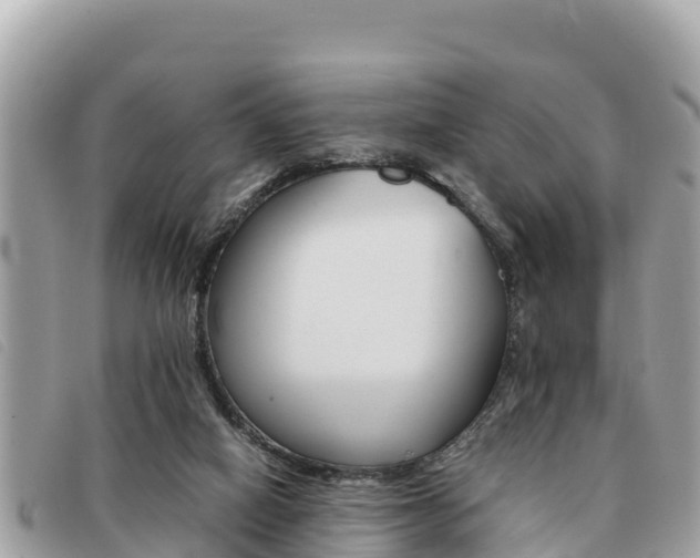 X0000091540066200708171018