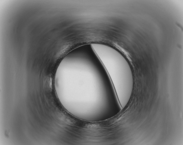 X0000091540067200708171018