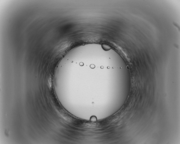X0000091540069200708171018
